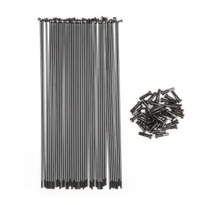 Pack BSD de 40 Rayons Straight Gauge Regular Black